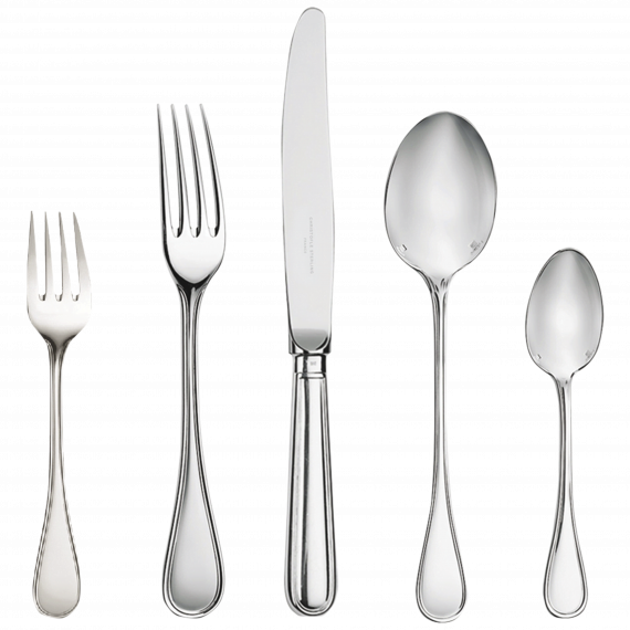 ALBI 48-Piece Silver Plated Flatware Set with Chest