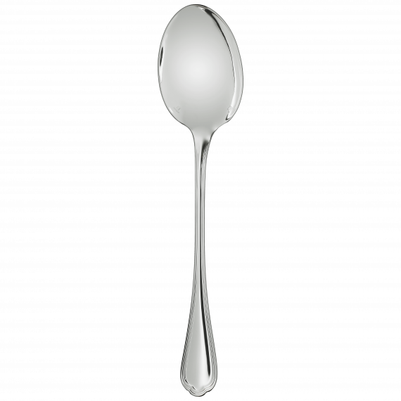 SPATOURS Silver-Plated Serving Spoon