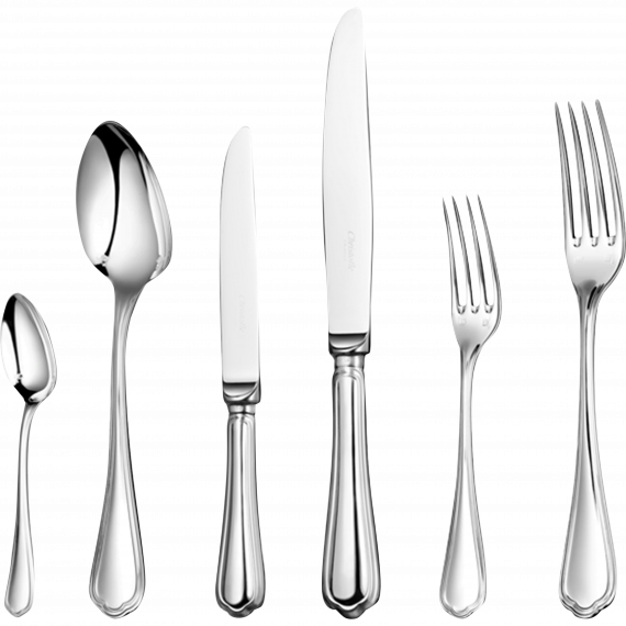 SPATOURS 110-Piece Silver-Plated Flatware Set for 12 People with Chest