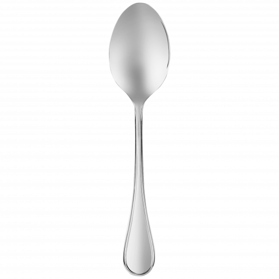 ALBI Stainless Steel Serving Spoon