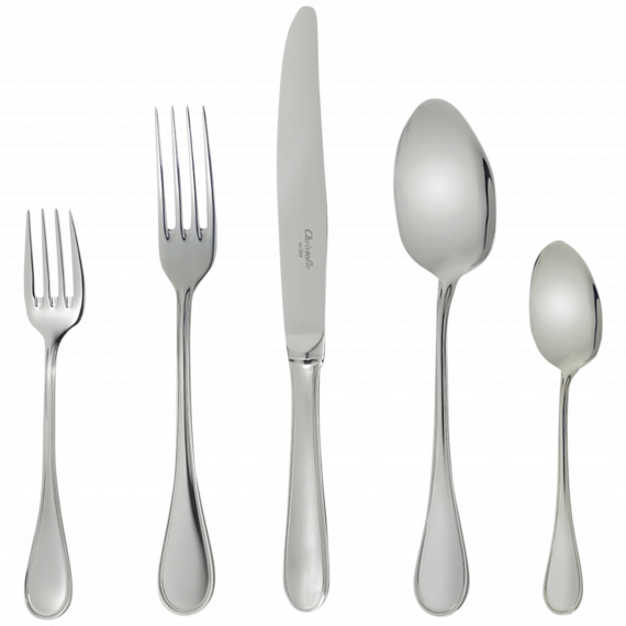 ALBI 110-Piece Stainless Steel Flatware Set with Chest for 12 People