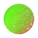 NABIL NAHAS - ETOILES Set of 6 Dinner & 6 Salad Plates