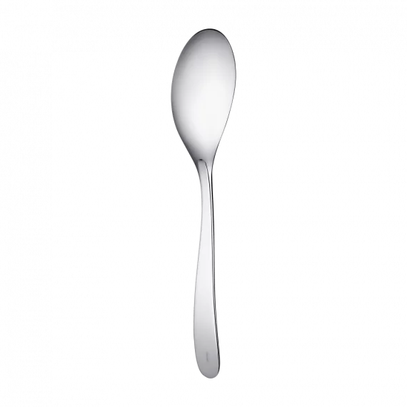 L'AME DE CHRISTOFLE Stainless Steel Serving Spoon