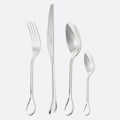 CARROUSEL 48-Piece Silver-Plated Flatware Set with storage box